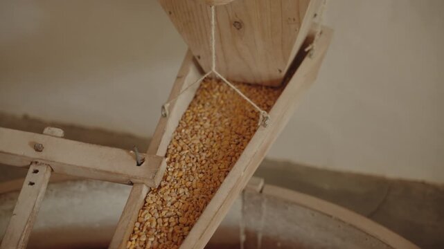 Cinematic Motion Shot of Yellow Corn Kernels Falling into a Rotating Stone Mill, Traditional Agriculture, Flores Island, Azores