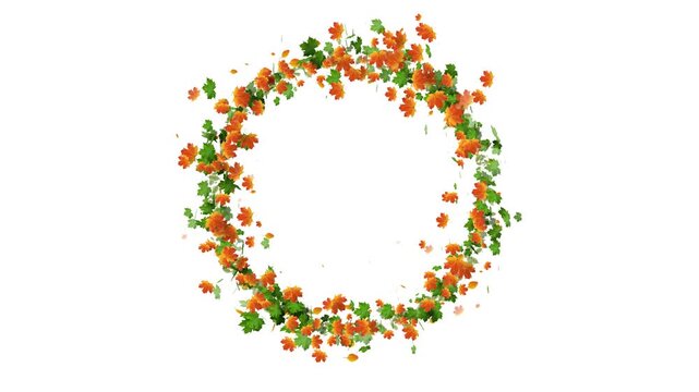 Autumn Maple Leaves Round Frame Animation with Falling Foliage. Circular Border of Vibrant Red and Green Maple Leaves for Fall. Magical Autumn Leaves Particle Animation in a Round Frame Design.
