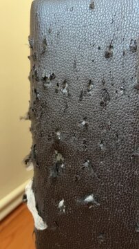 Damaged Sofa Corner With Cat Scratch Marks and Torn Faux Leather Surface Showing Heavy Pet Wear and Furniture Damage Close Up