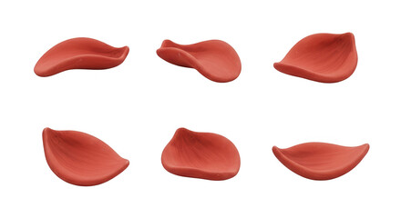 Fototapeta premium six isolated petals of a deep red flower set against a pure white background cosmetics design or botanical concepts