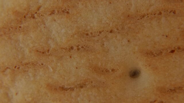 Rotating Cookie Macro Texture Food Background.