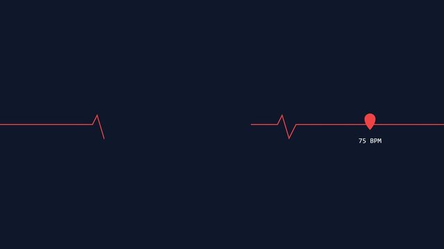Animated Red Heart Rate Pulse Line with 75 BPM Counter on Dark Background for Medical Health and Fitness Cardiology Concepts