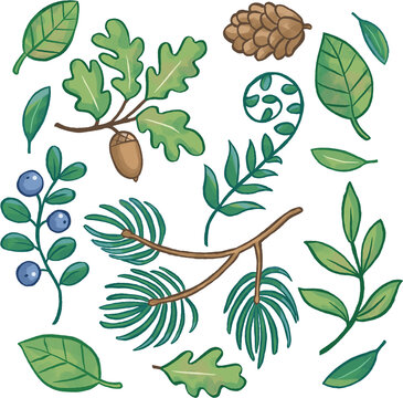 Collage mit Eichenbl&auml;ttern, Blaubeeren, Farn, Kiefernzweig und Tannenzapfen