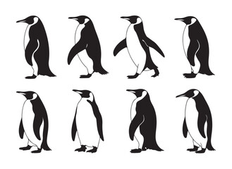 Obraz premium Emperor penguin walking poses and standing silhouettes sequence set for natural history vector art design.