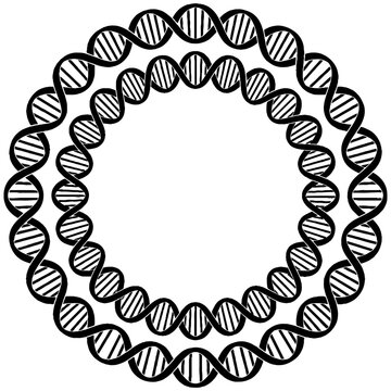 DNA double helix molecular structure model.