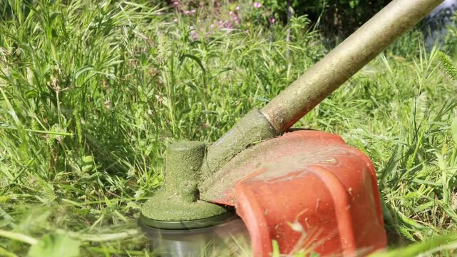 Brushcutter mowing tall green weeds in a garden during a sunny spring day