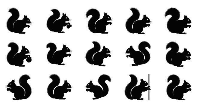 Collection of black squirrel silhouettes in various poses on white background for design use