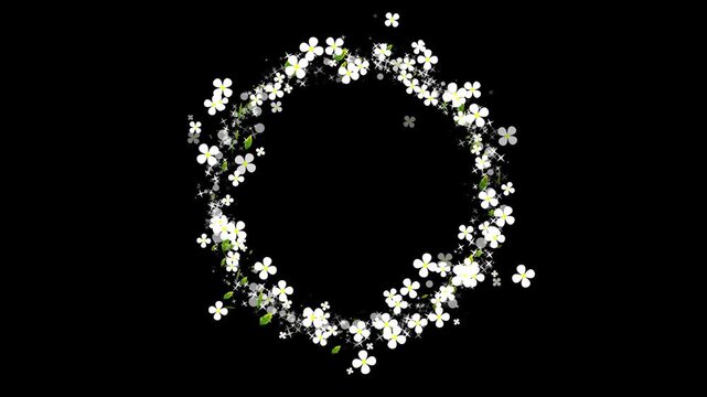 White Daisy Wreath Animation with Soft Green Leaves and Sunlight. Beautiful Daisies Flower Round Frame Animation with Blooming Petals.