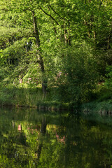 Fototapeta premium Serene lake reflecting lush green hills under the cloudy sky, a calm and peaceful natural landscape