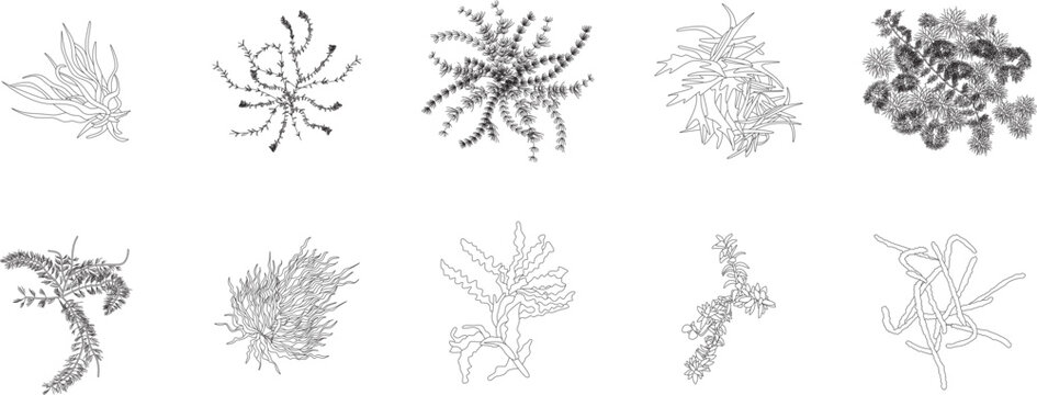Submerged plants, trees, top view, floor plan, architectural plan, landscape, shrub, icon, symbol, customizable stroke, vector