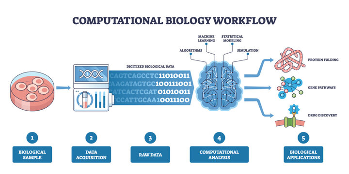 Computational biology workflow outline shows the path from sample to analysis, key objects, petri dish, DNA sequencer, brain network, outcomes include folding, pathways, drug targets. Outline diagram