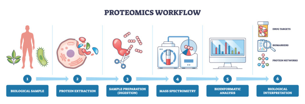 Proteomics workflow illustrates the path from biological samples to biological interpretation, key objects include mass spectrometer, peptides, and analytics screen. Outline diagram