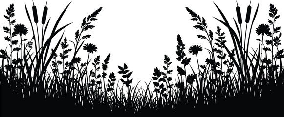 Wildflower and cattail silhouette against a white background © AhsanunNahar
