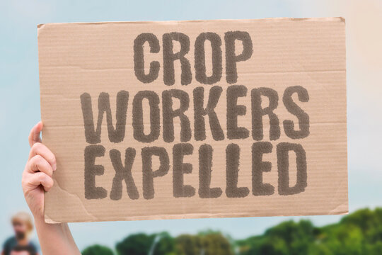 "Crop Workers Expelled" Agricultural workers are expelled after completing essential seasonal work. AGRICULTURAL. WORKERS. EXPELLED. ESSENTIAL. SEASONAL.