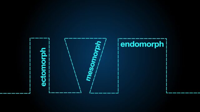 Body types icons set. Ectomorph, mesomorph and endomorph. Continuous one line drawing.4K motion graphics video