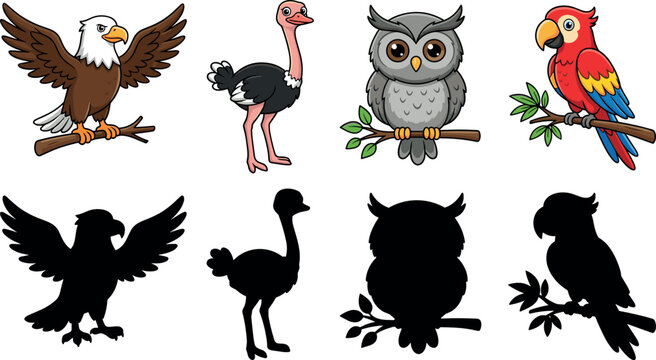 Cartoon and silhouette bird collection featuring eagle ostrich owl and parrot colorful and black shadow vector illustration set