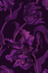 Purple parrot tulip seamless pattern watercolor on blue violet background fashion textile design. Design to decoration, packaging, cover, postcard, fabric © Nadia Stupina