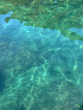 Sea emerald green clear water vertical background.