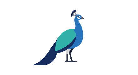 Fototapeta premium Elegant Peacock Standing Profile