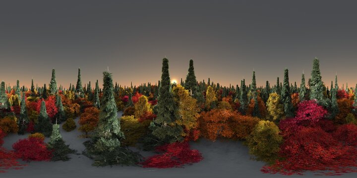 HDRI, environment map , Round panorama, spherical panorama, equidistant projection, panorama 360, Forest and swamp, 3d rendering