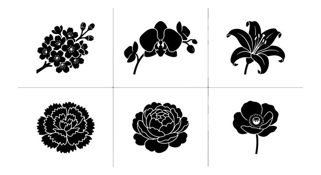 Elegant Black Floral Silhouettes, Set of 6 Vector Icons: Cherry Blossoms, Orchids, Lily, Carnation, Peony, Anemone for Design Elements