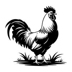 Black and white illustration of a proud rooster standing on grass © Salirtun