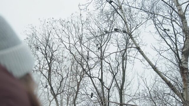 White woman watching bare tree canopy, quiet birdwatcher moment under gray sky with intricate branches and budding tips, gentle stillness and minimal winter palette evoke introspective nature study