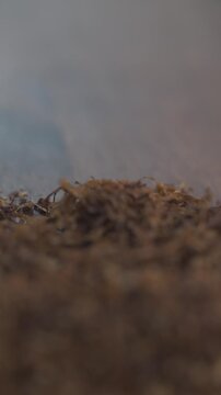 Primer plano vertical de tabaco suelto picado sobre mesa de madera r&uacute;stica con fondo desenfocado y luz natural.