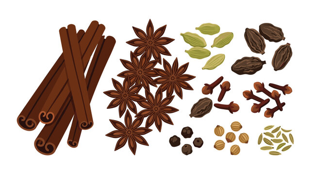 An assortment of whole kitchen spices including cinnamon sticks and star anise displayed on a white background with a soft neutral brown color theme for professional food photograp