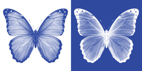 Butterfly Spread Wings Cyanotype Photogram Vector Indigo Symmetrical Specimen Wall Art © Josnara