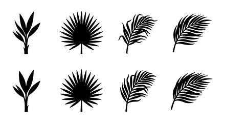 Tropical Palm Leaf Silhouettes, Set of 8 Vector Icons for Summer and Nature Designs, Black and White Botanical Elements © Zubaraj