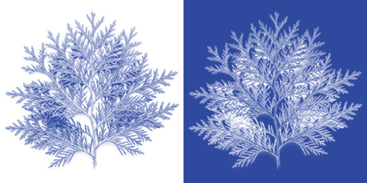 Radial Burst Cyanotype Photogram Organic Vector Indigo Spore Abstract Bloom Wall Art