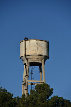concrete water tank rising above trees under blue sky