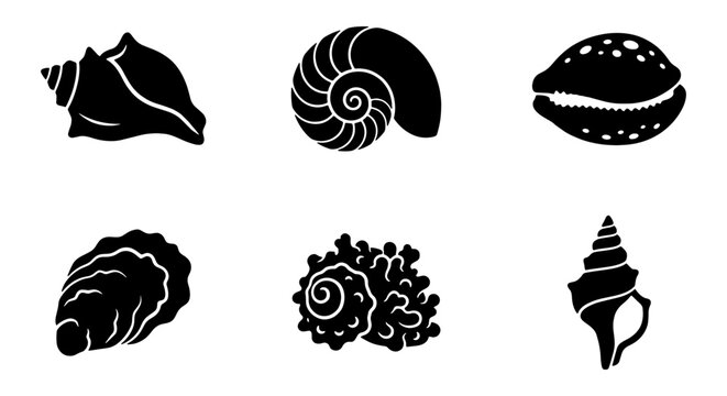 Set of 6 Black Silhouette Seashell Icons, Marine Life Vector Graphics, Ocean Beach Nautical Symbols for Summer Design