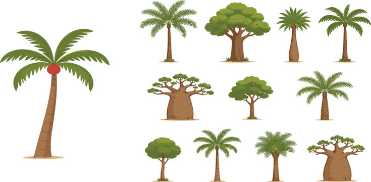 Tropical palm tree and african baobab vector set featuring exotic island plants coconut trees and desert flora for summer vacation travel and safari nature landscape design