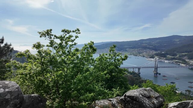 Rande bridge crossing ria de vigo with mussel farms from a viewpoint