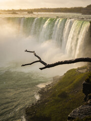 Fototapeta premium Pristine Wilderness and Plunging Waters of Victoria Falls