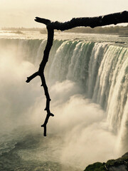 Fototapeta premium Pristine Wilderness and Plunging Waters of Victoria Falls