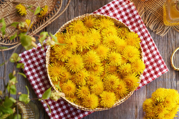 Fresh dandelion flowers harvested in spring in a basket on a table © Madeleine Steinbach