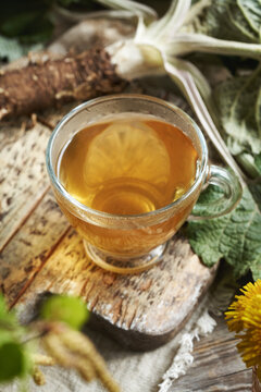 A cup of herbal tea with fresh burdock root