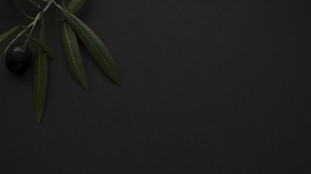 Black_background_with_olive_leaves_and_fruit_slomo_4k_10bit