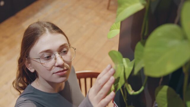 Female admiring lush vine under lights. Young lady observing climbing foliage with gentle smile indoors. Teen girl appreciating decorative plant illuminated by soft fairy lights indoors
