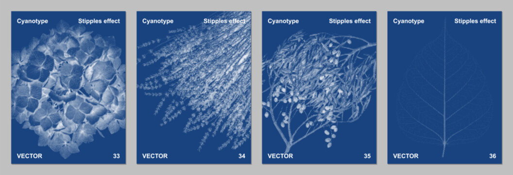 Broad Leaf Cyanotype Sun Print Tropical Vector Set Prussian Blue Wall Art
