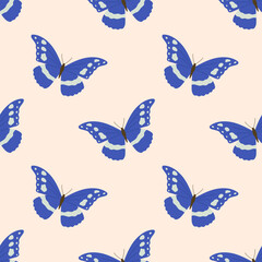 Obraz premium Seamless pattern of blue butterfly, Morpho. Vector illustration, flat style.