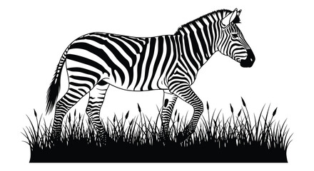 Naklejka premium Zebra standing in tall grass black and white silhouette high quality professional detailed modern elegant stylish