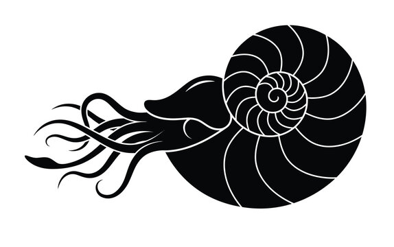 Nautilus shell black silhouette vector, marine cephalopod mollusk with spiral shell, ocean life creature icon for logo design and branding
