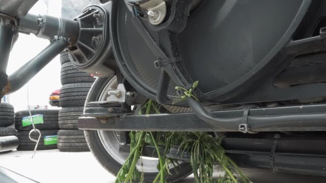Closeup boat trailer winch entangled seaweed under steel frame, algae and kelp caught in cable and pulley, dockside maintenance mood, mechanic inspection implied, fisherman clearing action suggested,