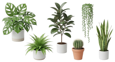Fototapeta premium Collection of six potted houseplants isolated on a transparent background