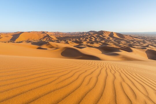 Red sand dunes in the desert, dune landscape Erg Chebbi, Merzouga, Sahara, Morocco