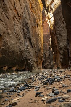 The Narrows, Virgin River, steep walls, Zion Canyon, Zion National Park, Utah, USA